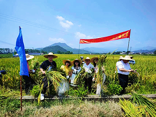 开镰仪式现场1.jpg