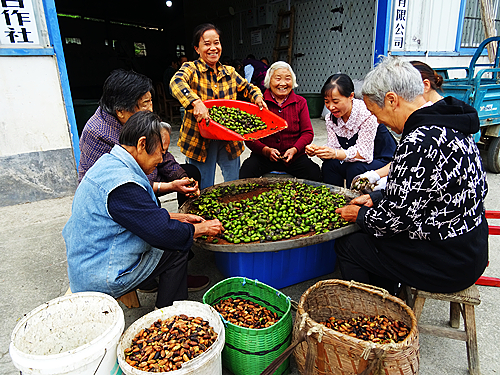 微信图片_20221014000548.jpg