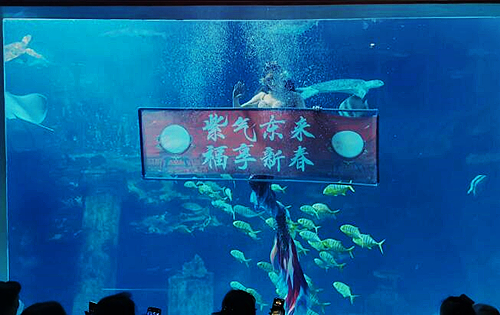 QQ截图20230116215612.jpg