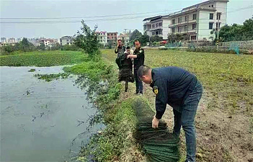 执法.jpg