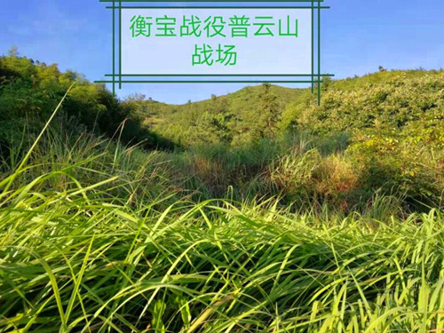 QQ截图20230809221818.jpg