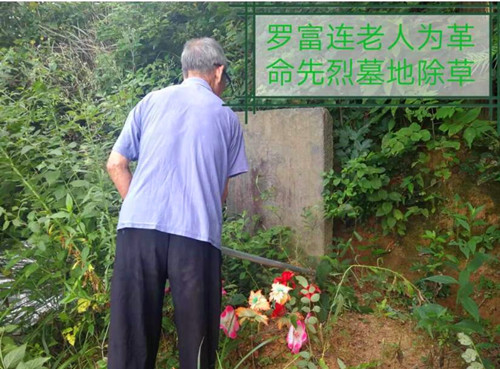 QQ截图20230809222109.jpg