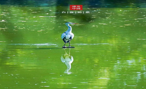 QQ截图20230909152051.jpg