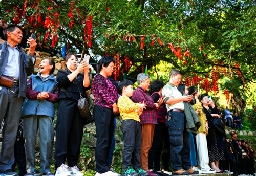 QQ截图20231019203201.jpg