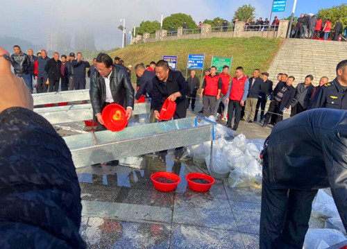 QQ截图20231118220649.jpg