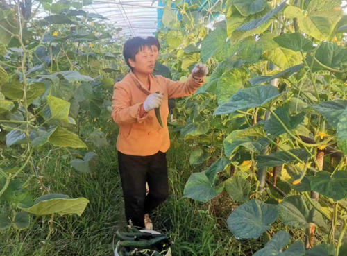 QQ截图20231121153741_副本.png