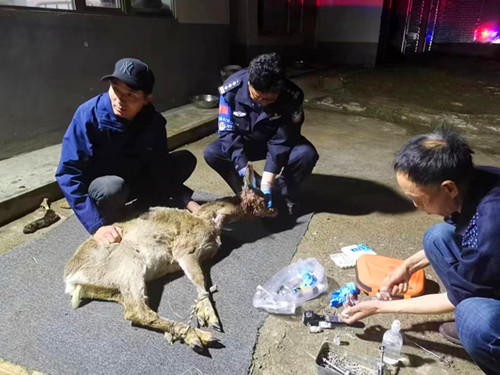 微信图片_20231205084325_副本.jpg