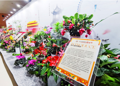 QQ20241230-205031_副本.jpg