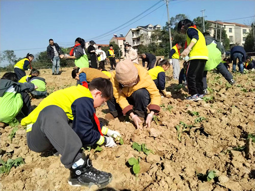 1763799343193457.jpg 图片3_副本.jpg