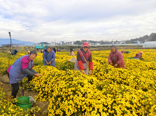 1763895640292398.jpg 图片2.jpg