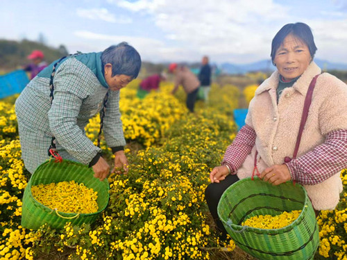 1763895652163105.jpg 图片3.jpg