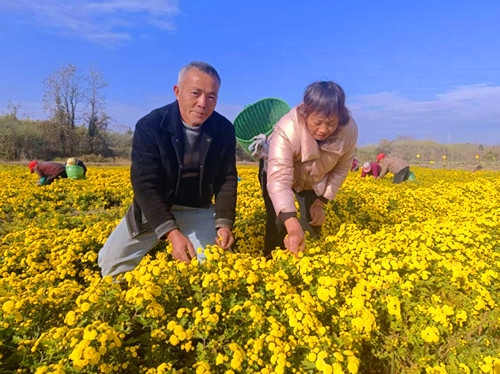 1763895620182871.jpg 图片1_副本.jpg