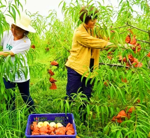 1764032840291708.jpg 图片6_副本.jpg