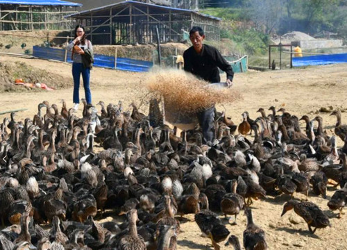 1764032848143155.jpg 图片5_副本.jpg