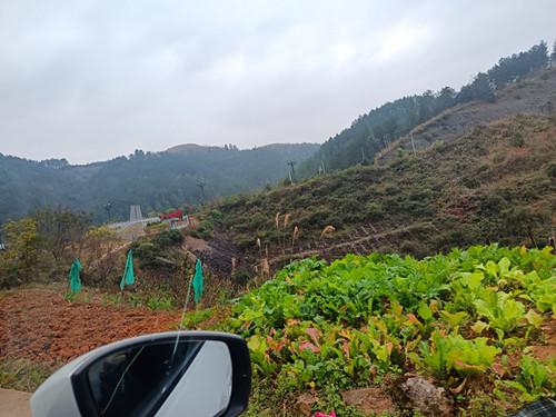 1767526043208460.jpg IMG_20251217_135008_副本.jpg